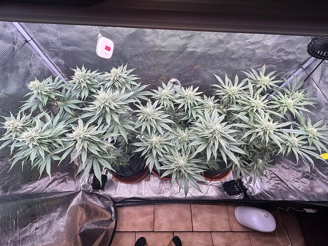 Growreport Bild 26