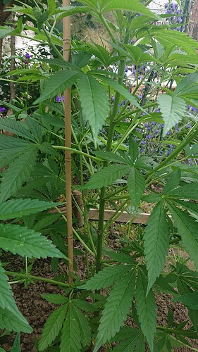 Growreport Bild 21