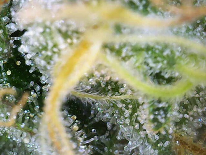 Growreport Bild 10