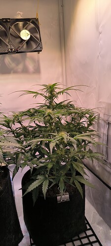 Growreport Bild 15