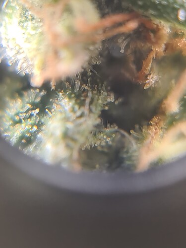 Growreport Bild 24