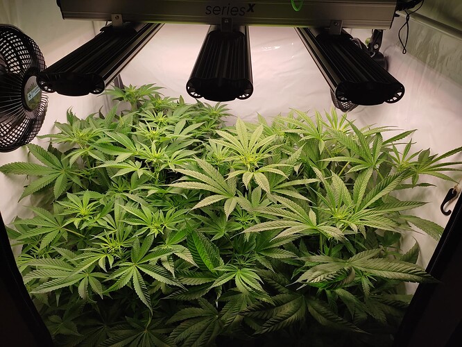 Growreport Bild 3