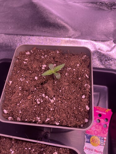 Growreport Bild 10