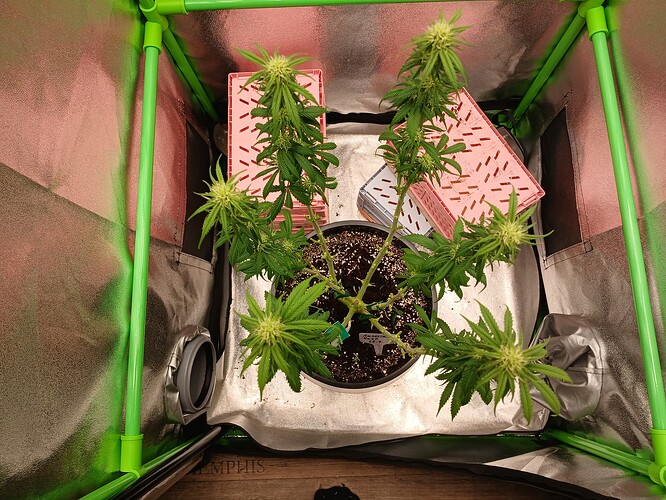 Growreport Bild 22