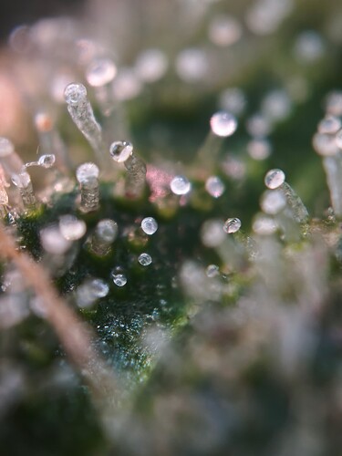 MVIMG_20251125_175832