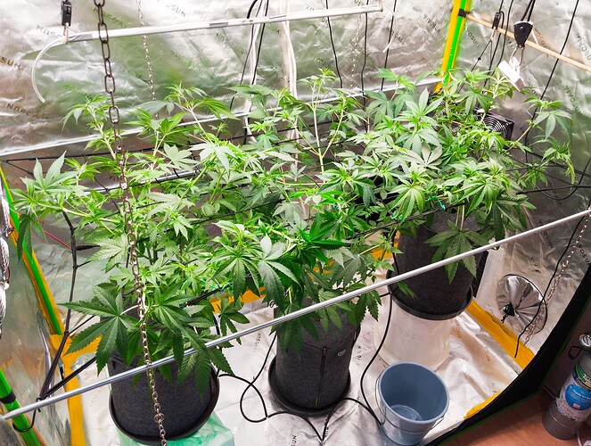 Growreport Bild 10