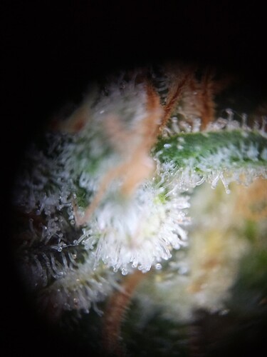 Growreport Bild 11