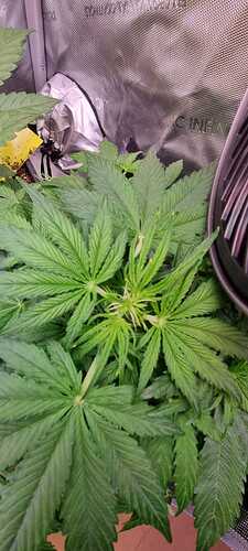 WhatsApp Image 2025-12-16 at 12.54.00