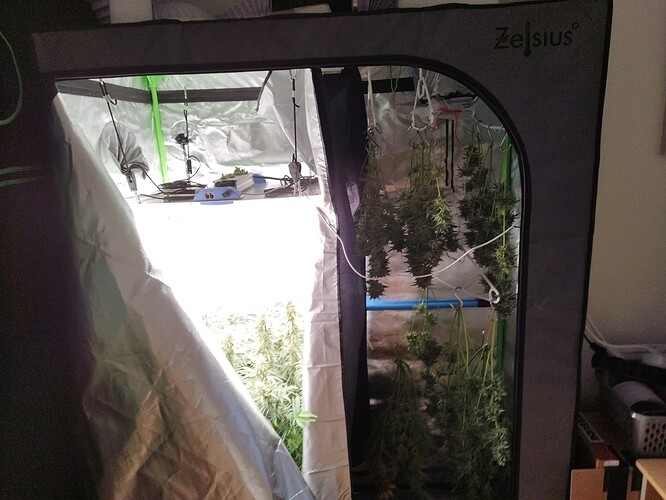 Growreport Bild 5