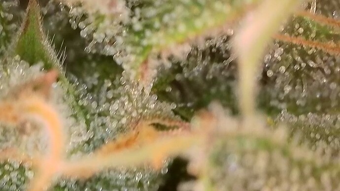 2025-10-22-075437262