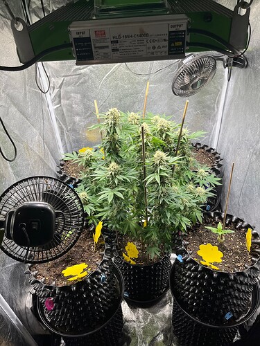 Growreport Bild 2