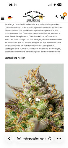 Growreport Bild 91