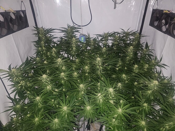 Growreport Bild 11