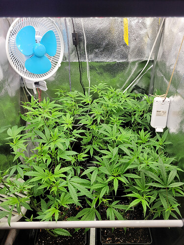 Growreport Bild 2