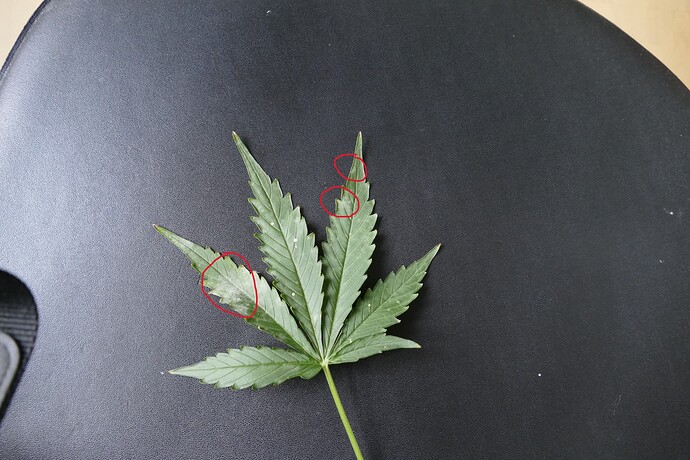 Growreport Bild 6