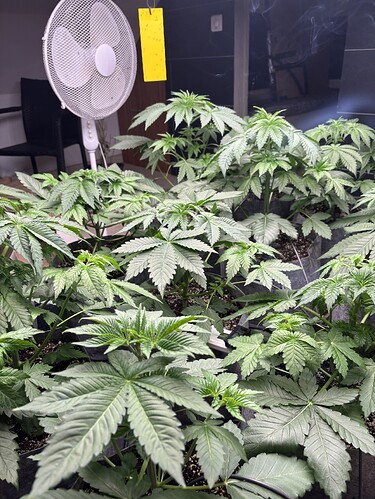 Growreport Bild 11