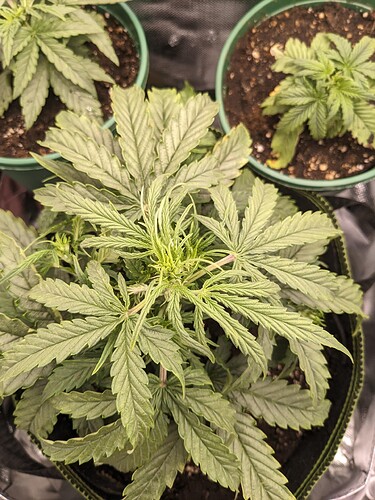 PXL_20240515_005823467