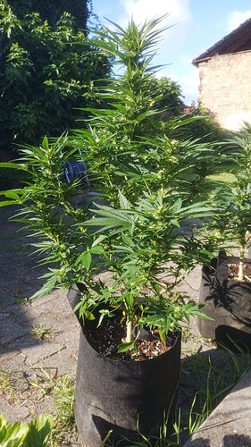 Growreport Bild 22