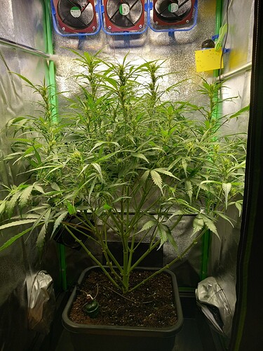 cc32226b-1c1a-45c9-a3cb-b74081e9eddf-1_all_10144