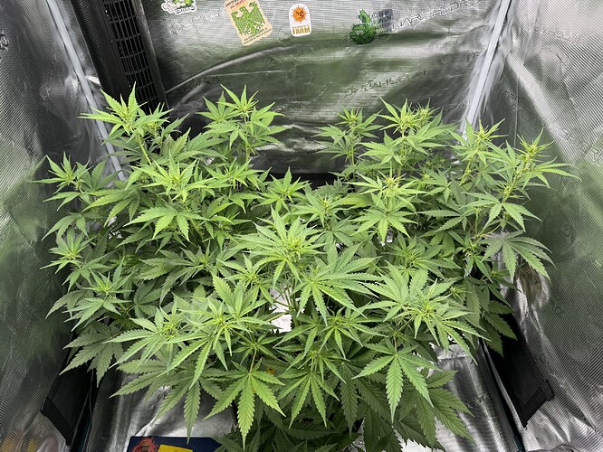 Growreport Bild 19