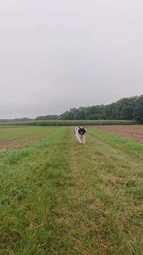 DSC_2269