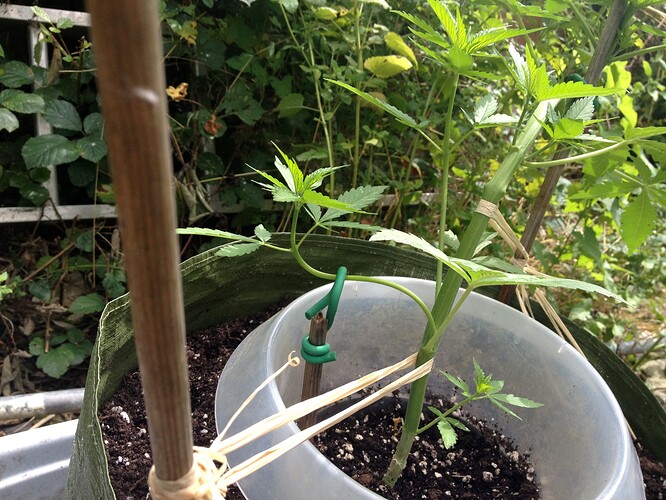 Growreport Bild 21