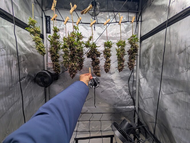 Growreport Bild 2