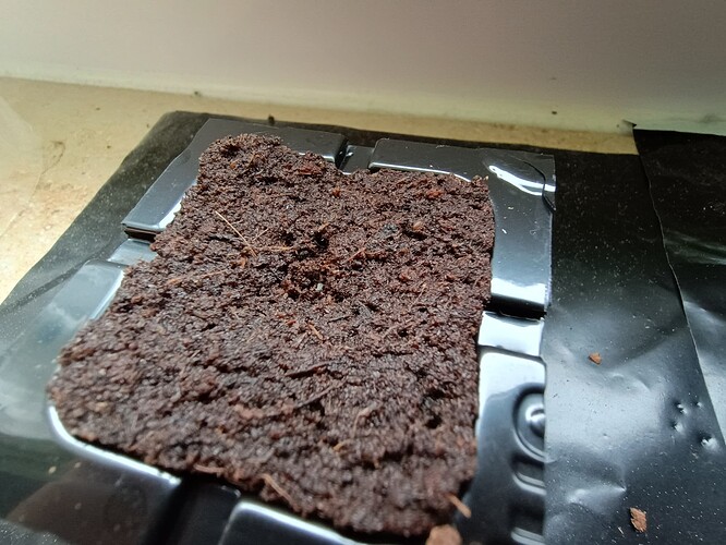 IMG_20240420_091625147_HDR