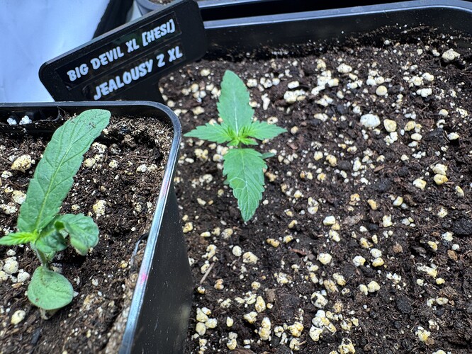 Growreport Bild 13