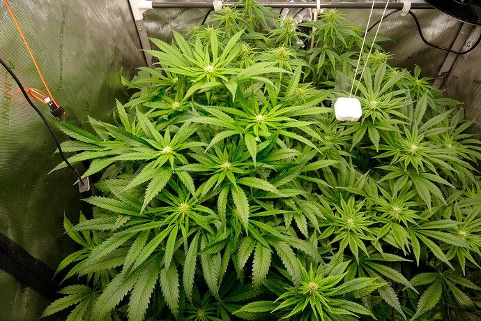 Übersicht_vorne_oben1_VT61BT14