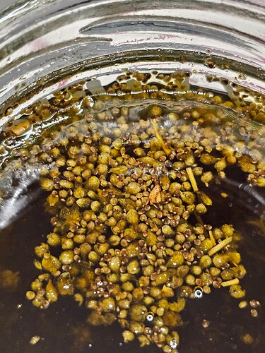Growreport Bild 5