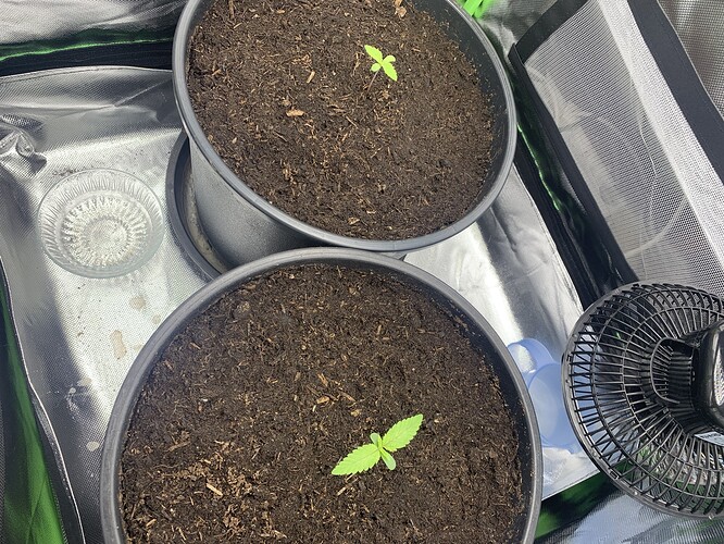 Growreport Bild 11