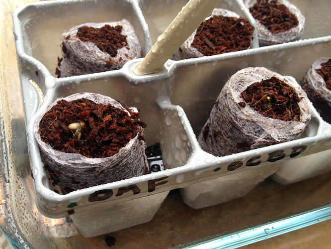 Grow26_0506_2