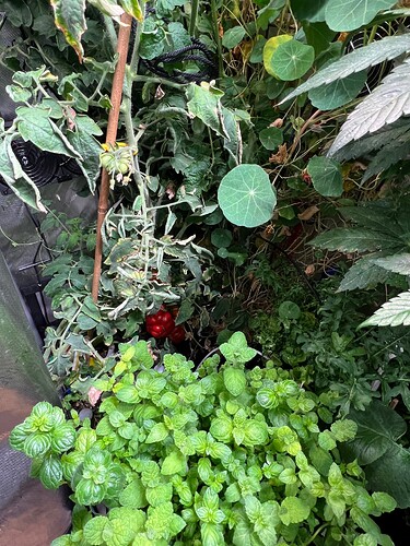 Growreport Bild 14