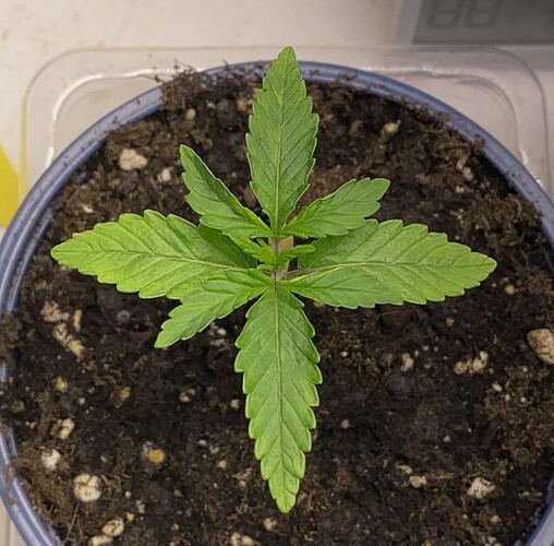 Growreport Bild 20