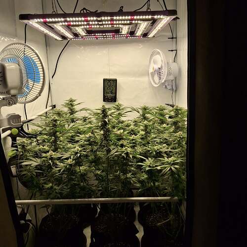 475500042_122166184628293599_6170877874821523911_n