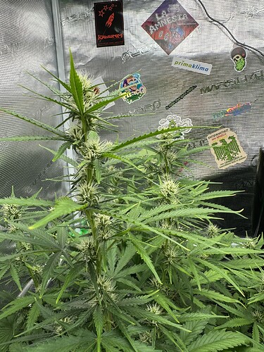 Growreport Bild 12
