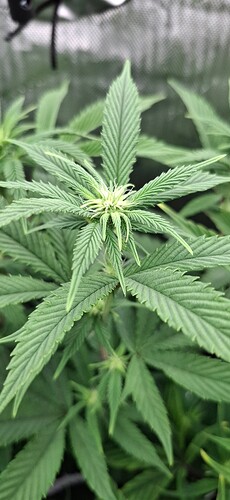 Growreport Bild 5