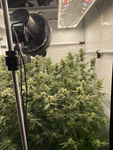 Growreport Bild 2