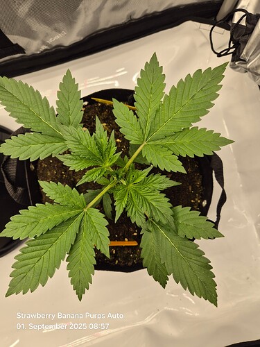 Growreport Bild 18