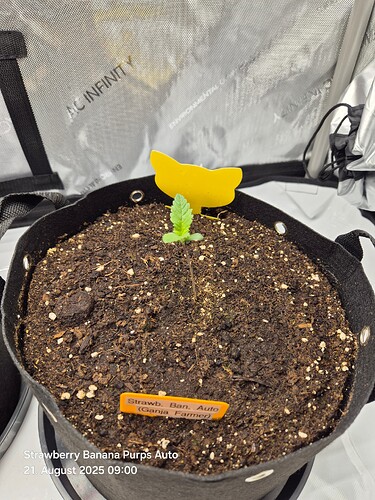 Growreport Bild 3
