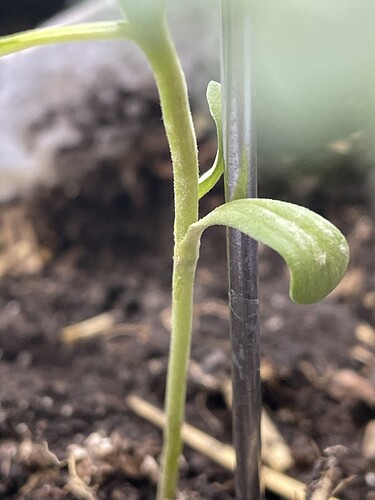 Growreport Bild 2
