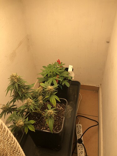 Growreport Bild 12