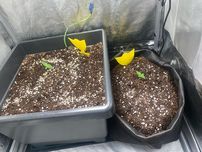 Growreport Bild 17