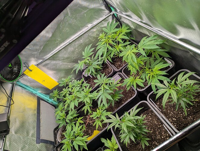 Growreport Bild 2