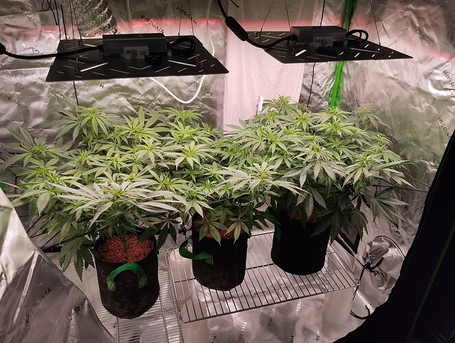Growreport Bild 12