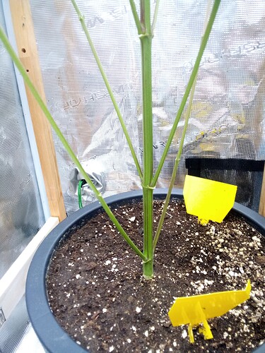 Growreport Bild 21