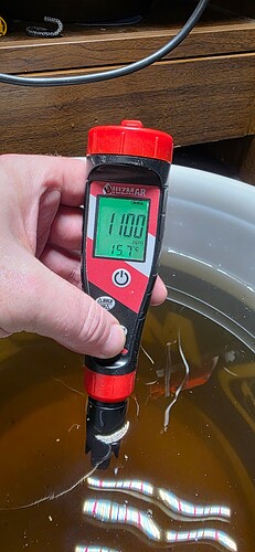 Growreport Bild 4