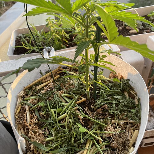 Growreport Bild 14