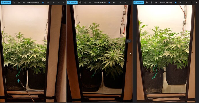 Growreport Bild 5